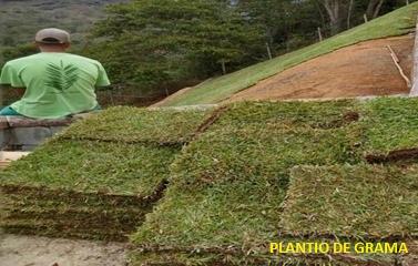 6° MEDIÇÃO_PLANTIO DE GRAMA